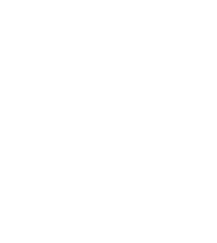 One Dealer LLC